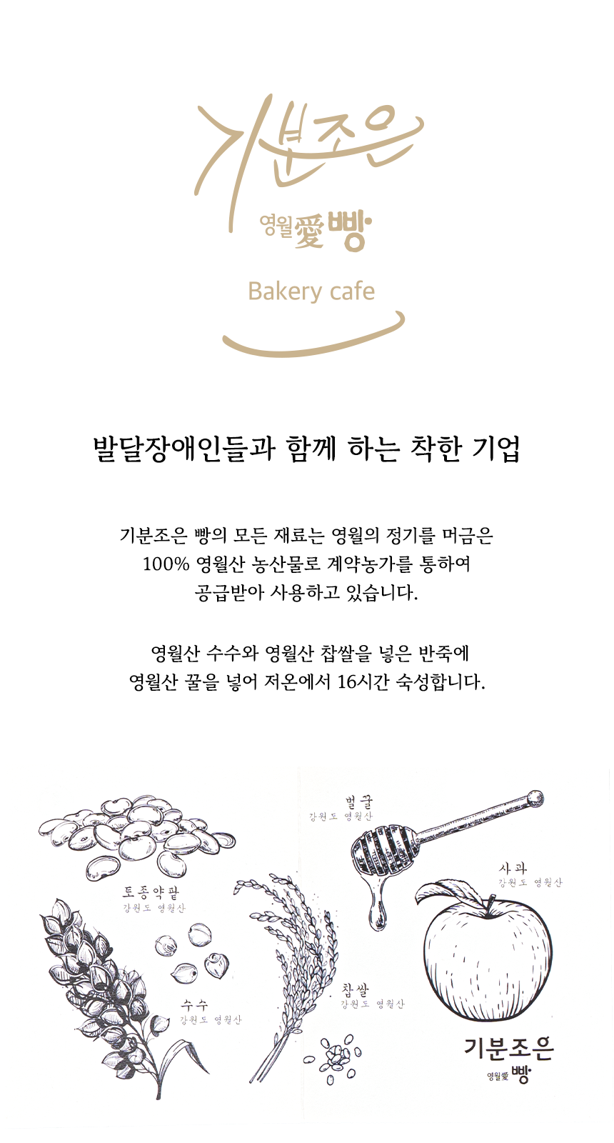 기분조은 영월애빵 소개